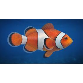 Tyrannosarus Rex with Maya Muscle